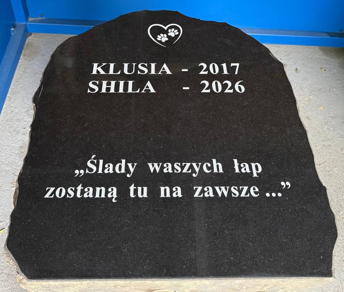 Tablica pamiątkowa dla zwierząt: Klusia i Shila, z sentencją „Ślady waszych łap zostaną tu na zawsze”